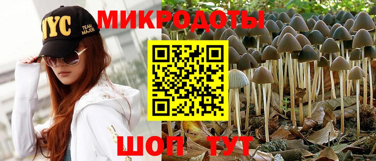Михайловка  Псилоцибиновые грибы мицелий  Вход с VPN 