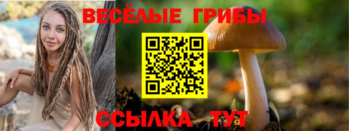 Галлюциногенные грибы GOLDEN TEACHER Михайловка